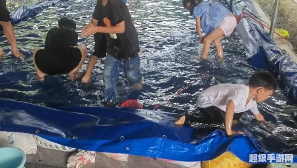 抓鱼游戏