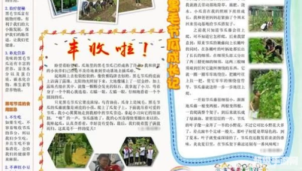 电子报下载