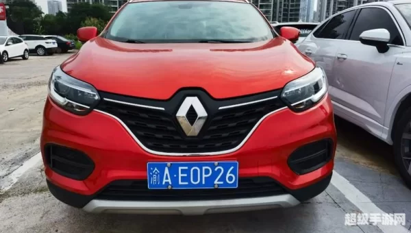 雷诺喜欢什么