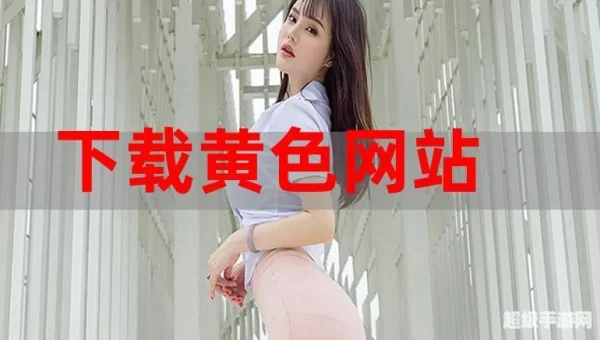 可以看各种网站视频的软件