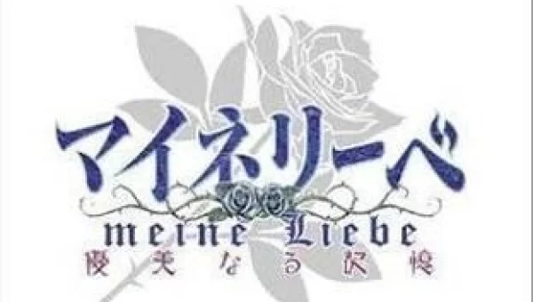 耽美梦想下载