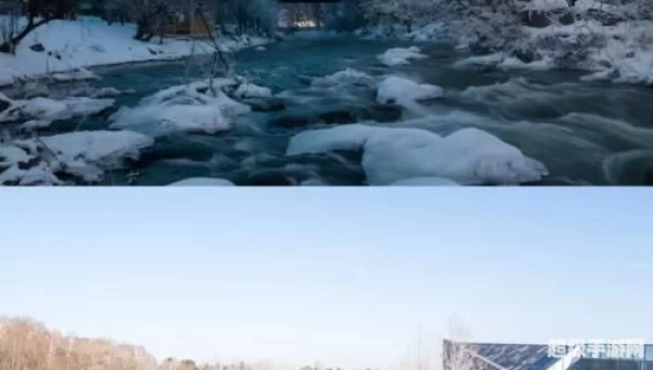 安静的机械雪人