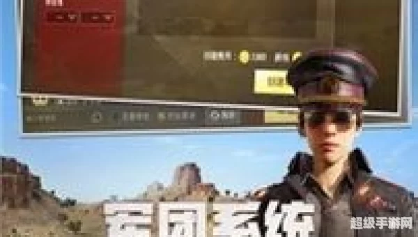 刺激战场辅助