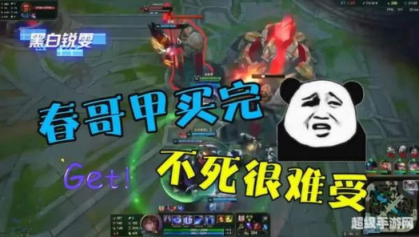 春哥甲是什么