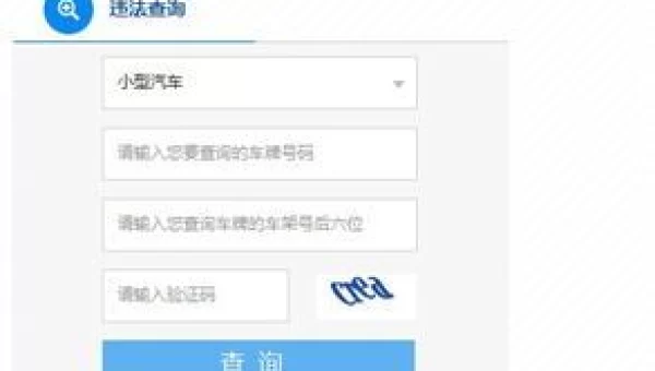 畅网交通违章查询