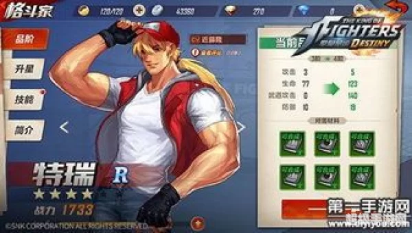 拳皇特瑞
