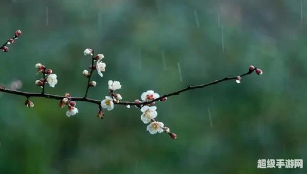 春潮带雨