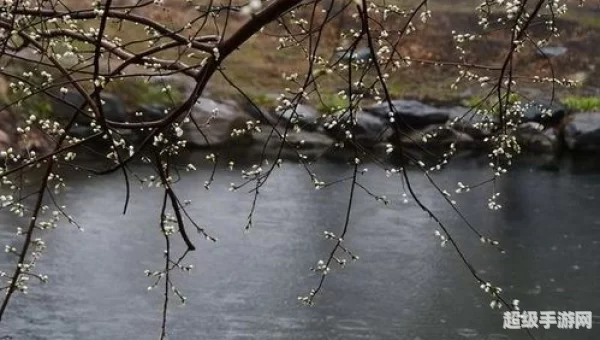 春潮带雨